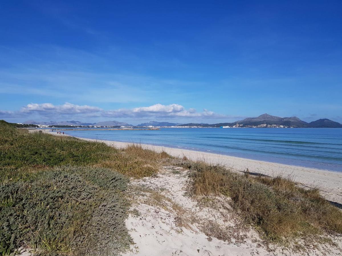 בית הארחה אלקודיה 	Ideal Property Mallorca - Son Fe מראה חיצוני תמונה